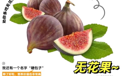 黄豆加苹果打豆浆的功效-苹果打豆浆的功效与作用、苹果打豆浆最佳搭配通便 -苹果打豆浆的功效网