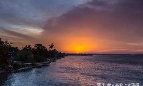 苹果打豆浆的功效是什么-苹果打豆浆的功效与作用、苹果打豆浆最佳搭配通便 -苹果打豆浆的功效网
